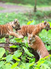 拉古南動物園