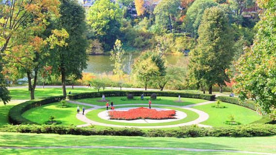 ไฮปาร์ค