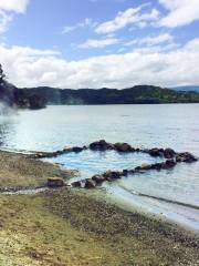 Hot Water Beach Campsite