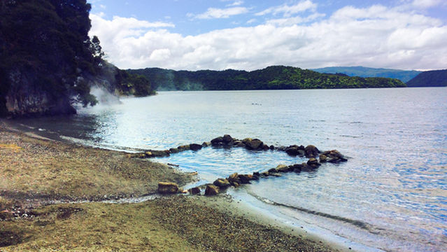 Hot Water Beach Campsite