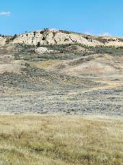 Fossil Butte National Monument