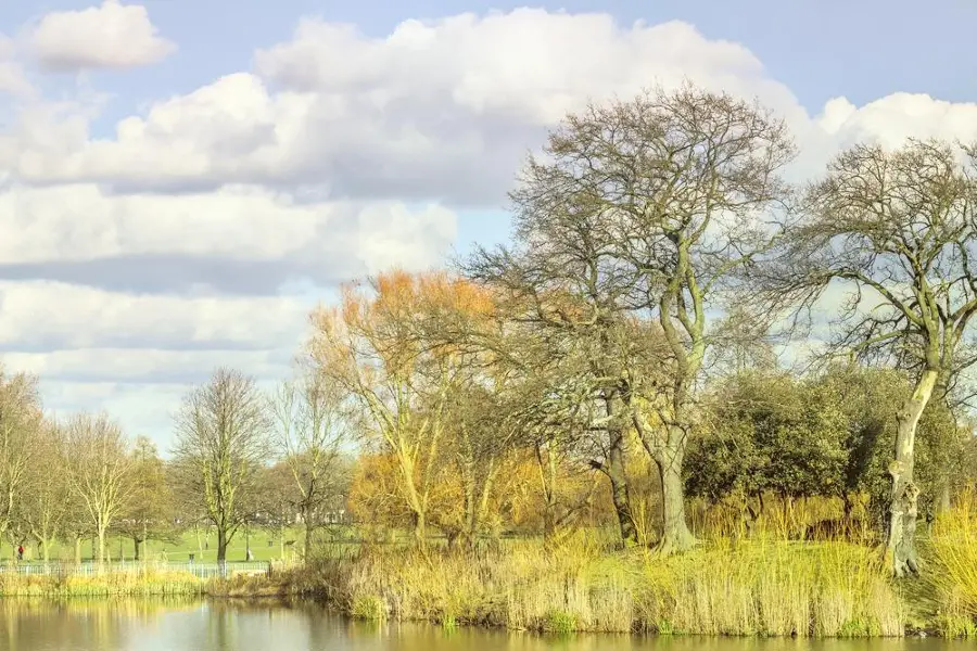 Clapham Common