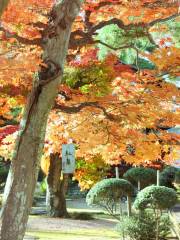 Jardín Botánico de Kioto