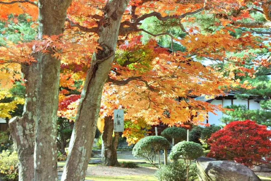 Jardín Botánico de Kioto