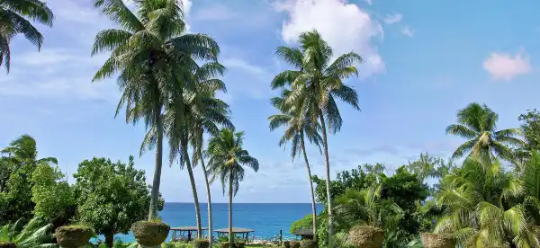 Hotels near Paseo de Susana