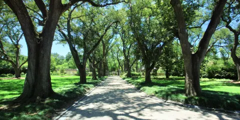 Longue Vue House and Gardens