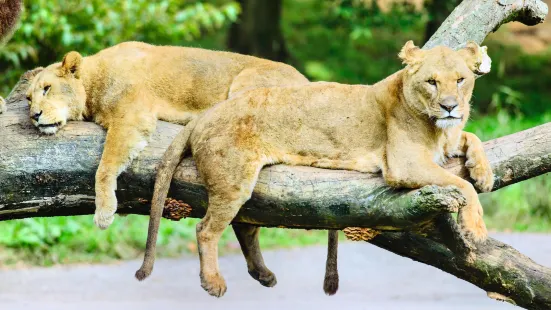 富士野生動物園