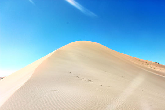 Altyn Emel National Park