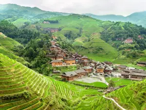 Longji Dazhai Terraces