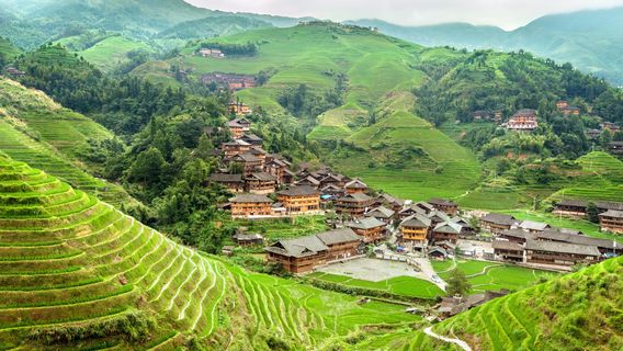 หมู่บ้านมังกรกิ่ง