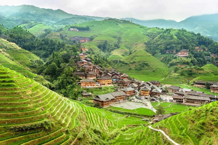 Longji Dazhai Terraces