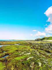 Kaloko-Honokōhau National Historical Park