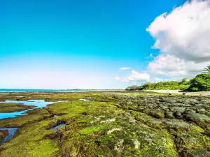 Kaloko-Honokōhau National Historical Park