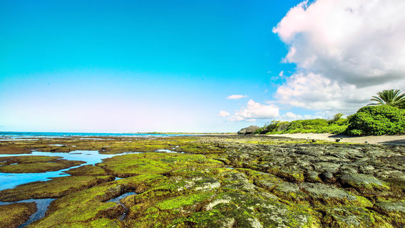 Kaloko-Honokohau National Historical Park
