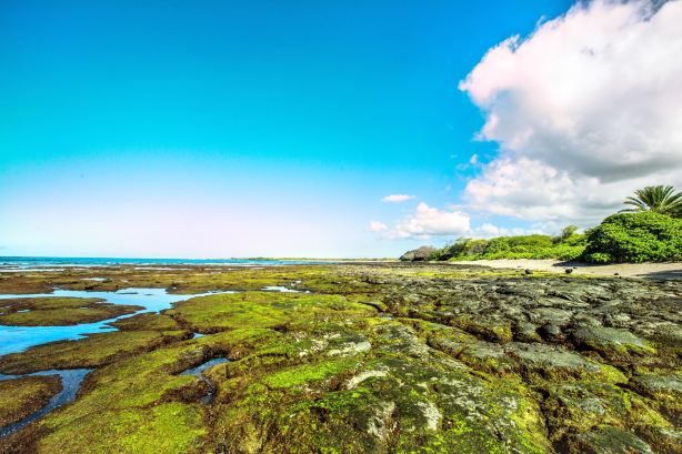 Kaloko-Honokōhau National Historical Park