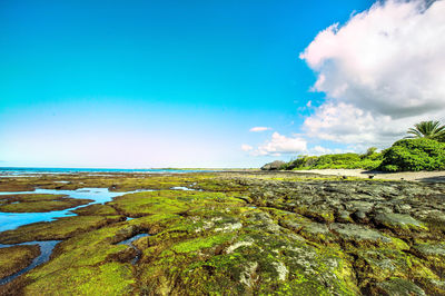 Kaloko-Honokōhau National Historical Park