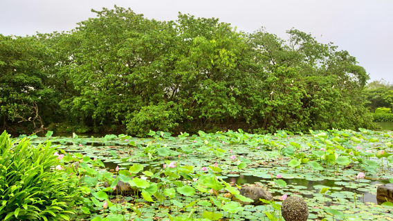 Guanshanhu Scenic Area