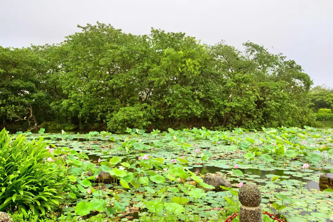 Hotels near Guanshanhu Scenic Area