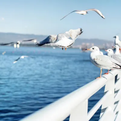 Отзывы об отеле Wyndham Kunming Panlong