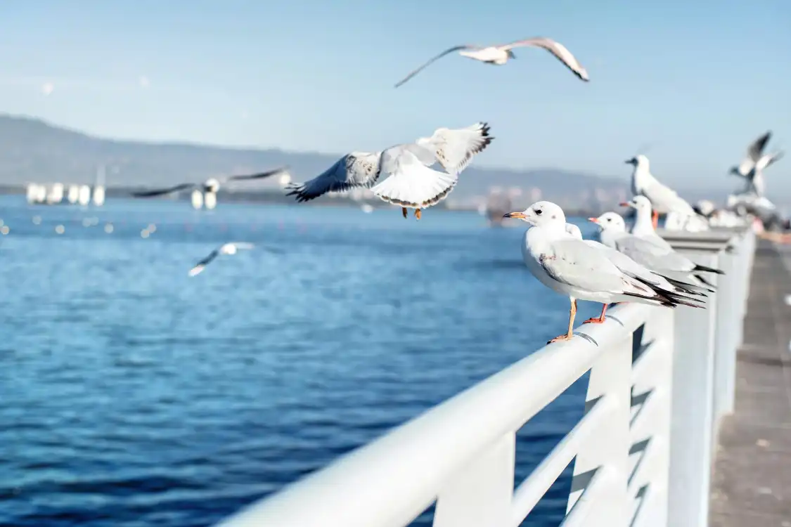 Hotels near Haigeng Dam