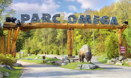 Parc Safari