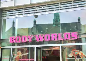 BODY WORLDS Amsterdam