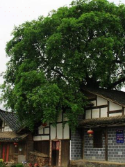 Zhongbada Xiagu Minsu Museum