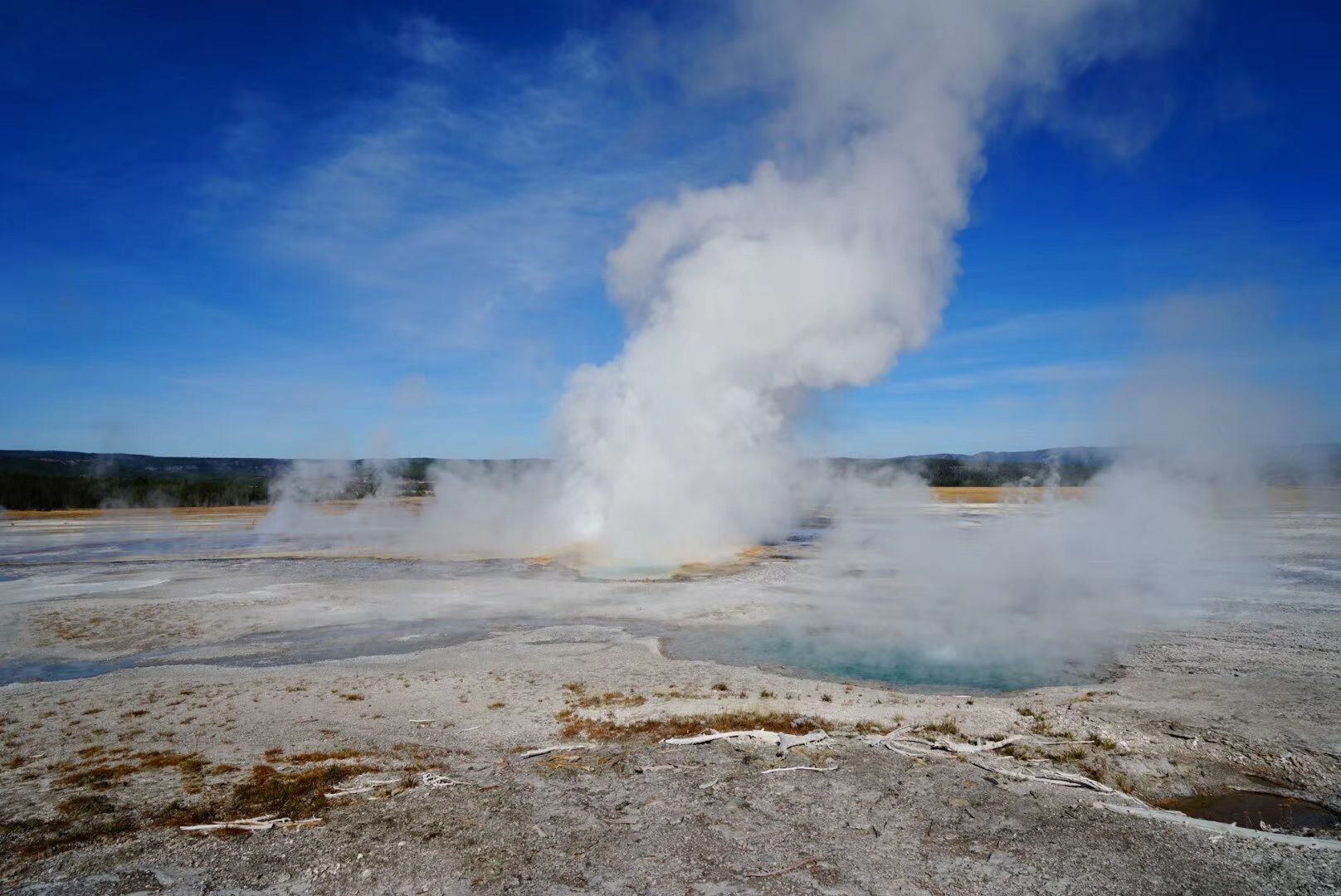 イエローストーン国立公園 Old Faithful Geyser 評判 案内 トリップドットコム イエローストーン国立公園 Old Faithful Geyser 評判 案内 トリップドットコム