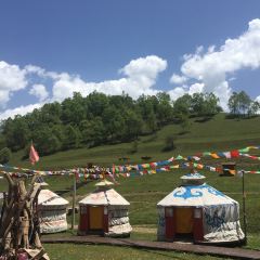 关山牧场老五烤全羊烤羊腿 User Photo