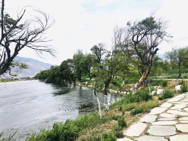 Dali West Lake
