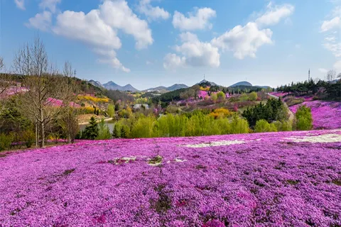 Yinggeshi Botanical Garden
