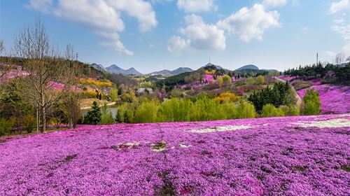 Yinggeshi Botanical Garden