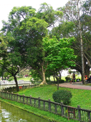 Wannian Park