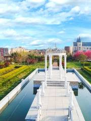 Changxing Agricultural Park, Xintai