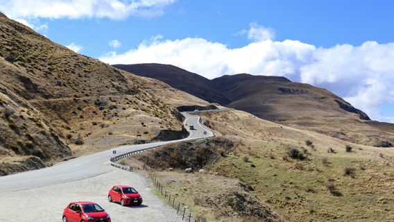 Wānaka Station Park