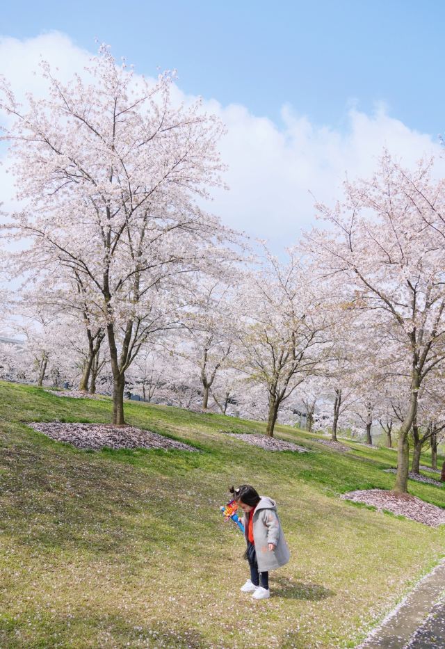 상하이 천산 식물원(상해 진산식물원)