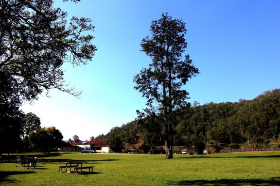 ラミントン国立公園のレビュー ラミントン国立公園のチケット ラミントン国立公園の割引 ラミントン国立公園の交通機関 所在地 営業時間 ラミントン国立公園周辺の観光スポット ホテル グルメ Trip Com