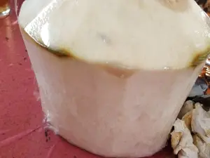 Coconut Flower Restaurant
