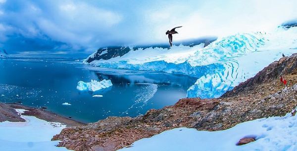 Flüge von Bogotá nach Punta Arenas