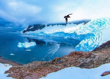 Punta Arenas