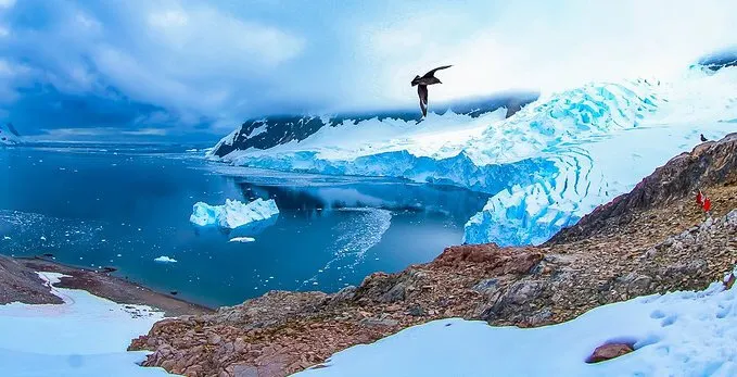 Punta Arenas