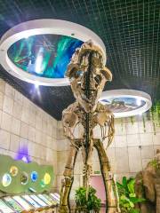 พิพิธภัณฑ์ไดโนเสาร์ในเมือง