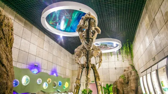 Zhucheng Dinosaur Museum