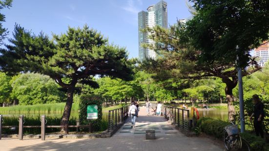 首尔林是韩国人经常一家人或者情侣一起去野餐休假的地方，风景非