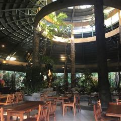 黑森林餐廳張用戶圖片