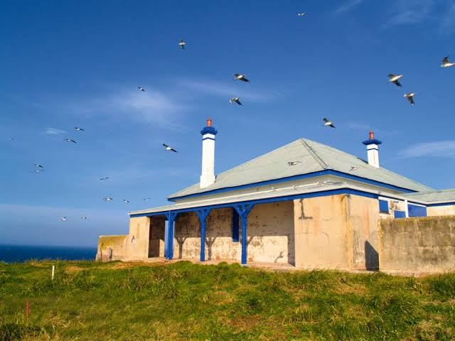 South Solitary Island