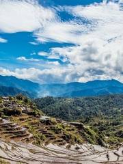 Terrazzamenti di Banaue