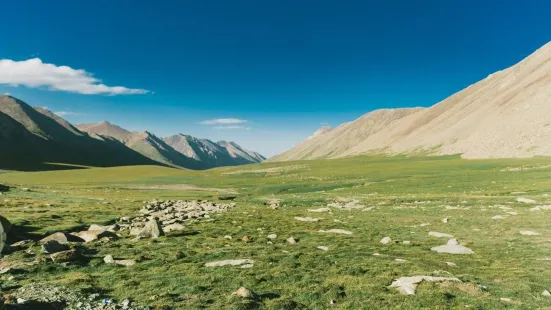 Jintai Pasture