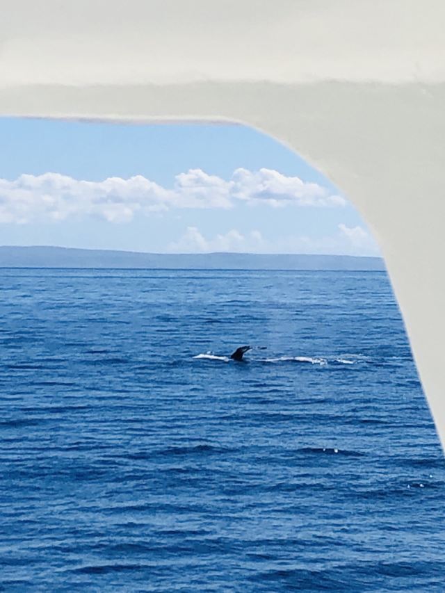 Lahaina