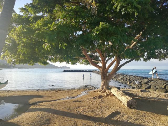 Duke Kahanamoku Beach